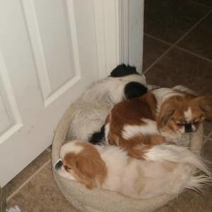 Meet your Posher, Deborah